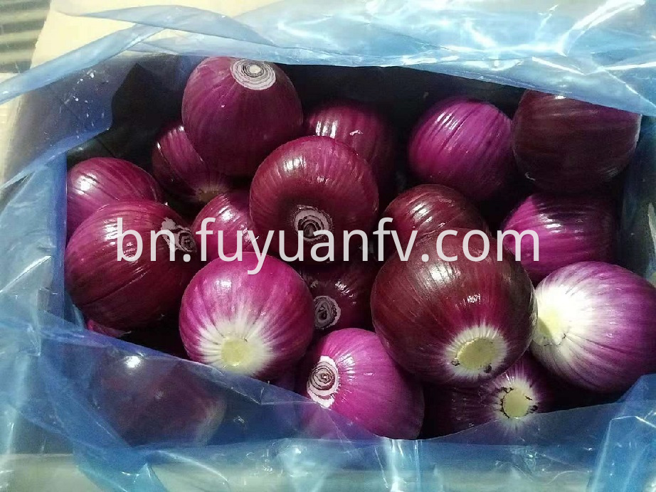 red onion